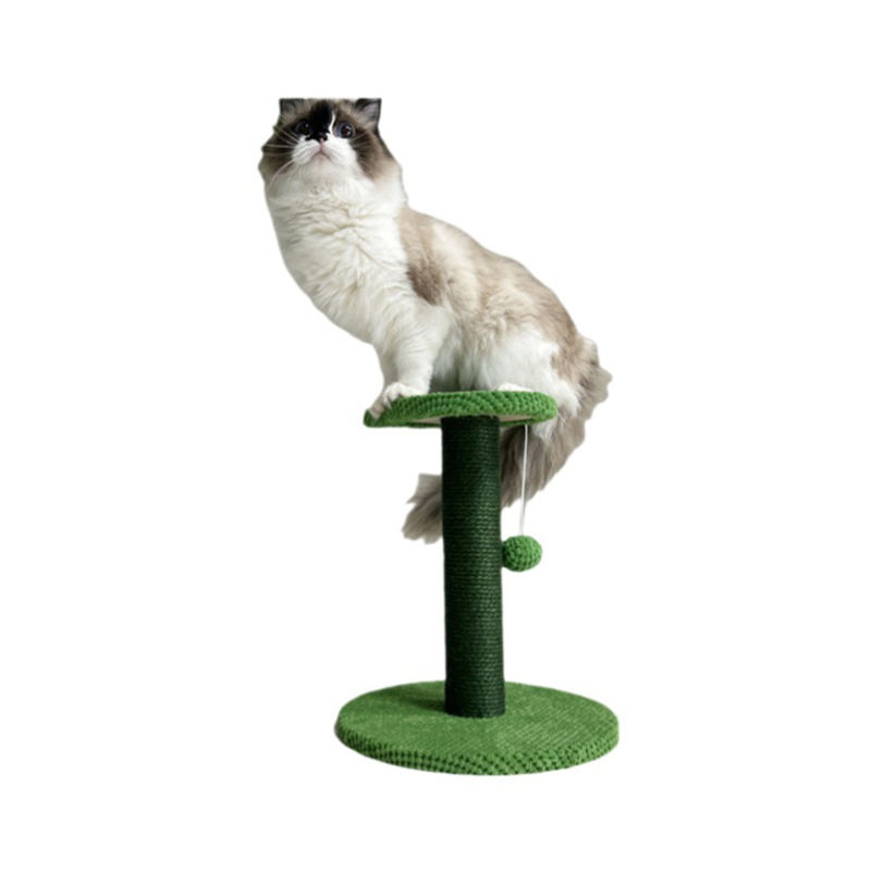 Houten kattenklimplatform